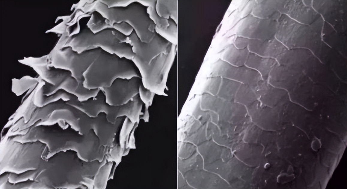 贵的吹风机真的值得吗,贵的吹风机吹发型更好吗