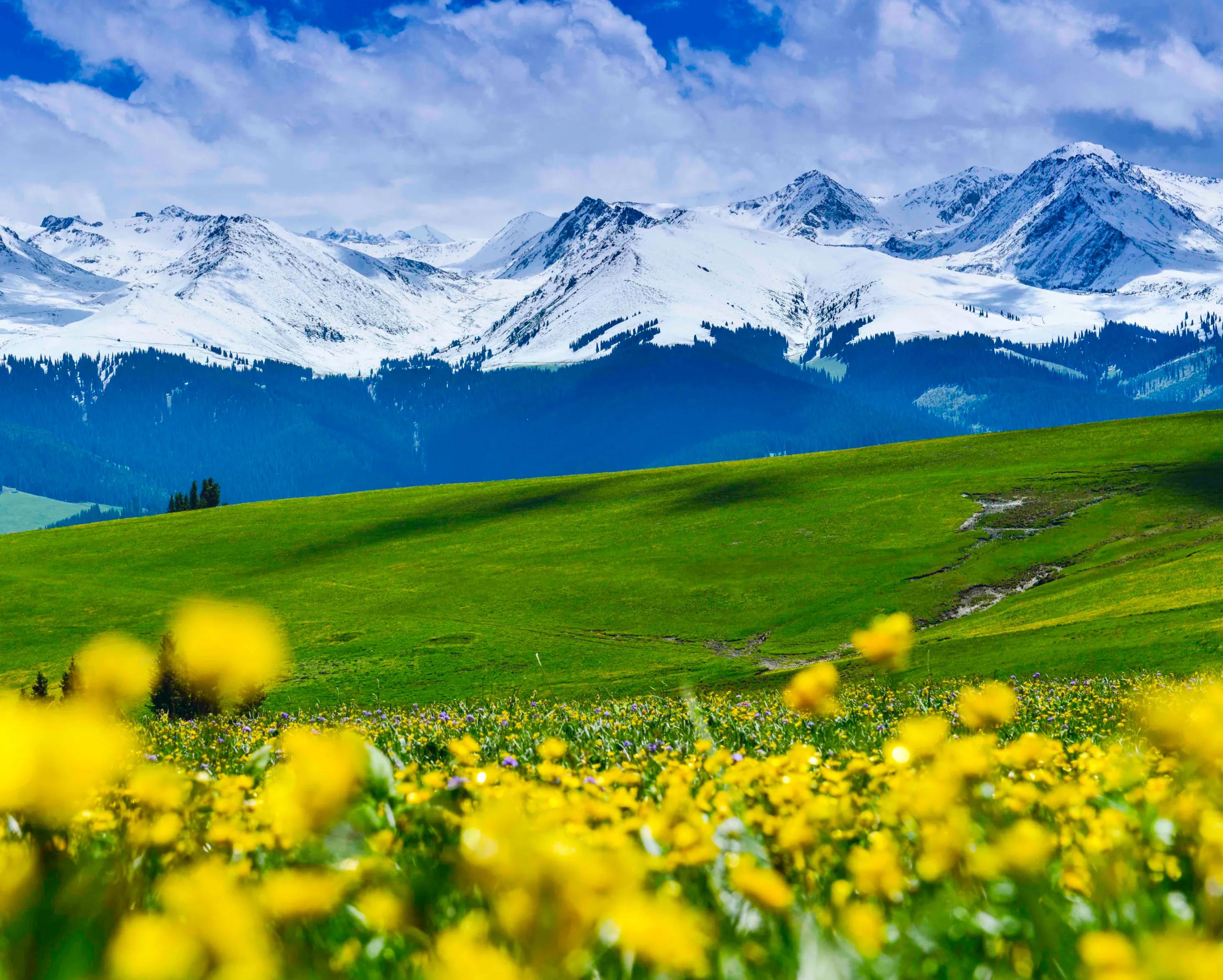 人生难得静心,人生难得清净心