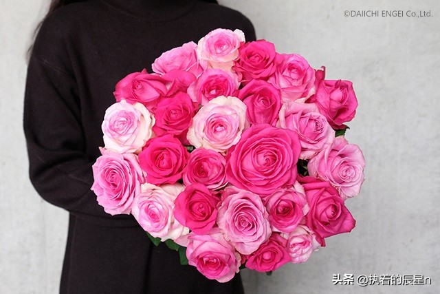 女孩你真的了解玫瑰花吗？三个步骤让你明白男朋友送你玫瑰的意思