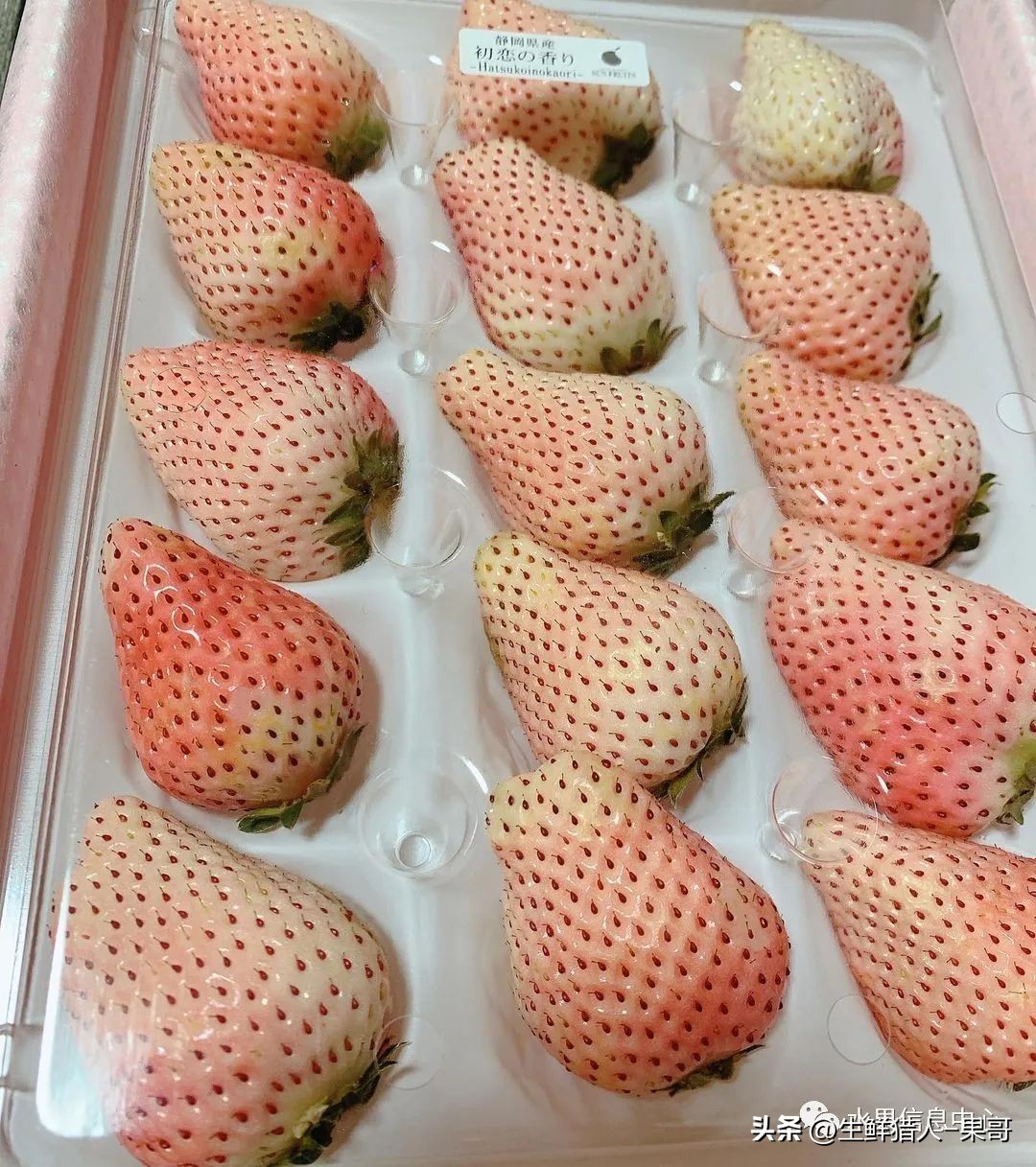 最好吃的白草莓品种前十名,好吃实惠的草莓品种有哪些