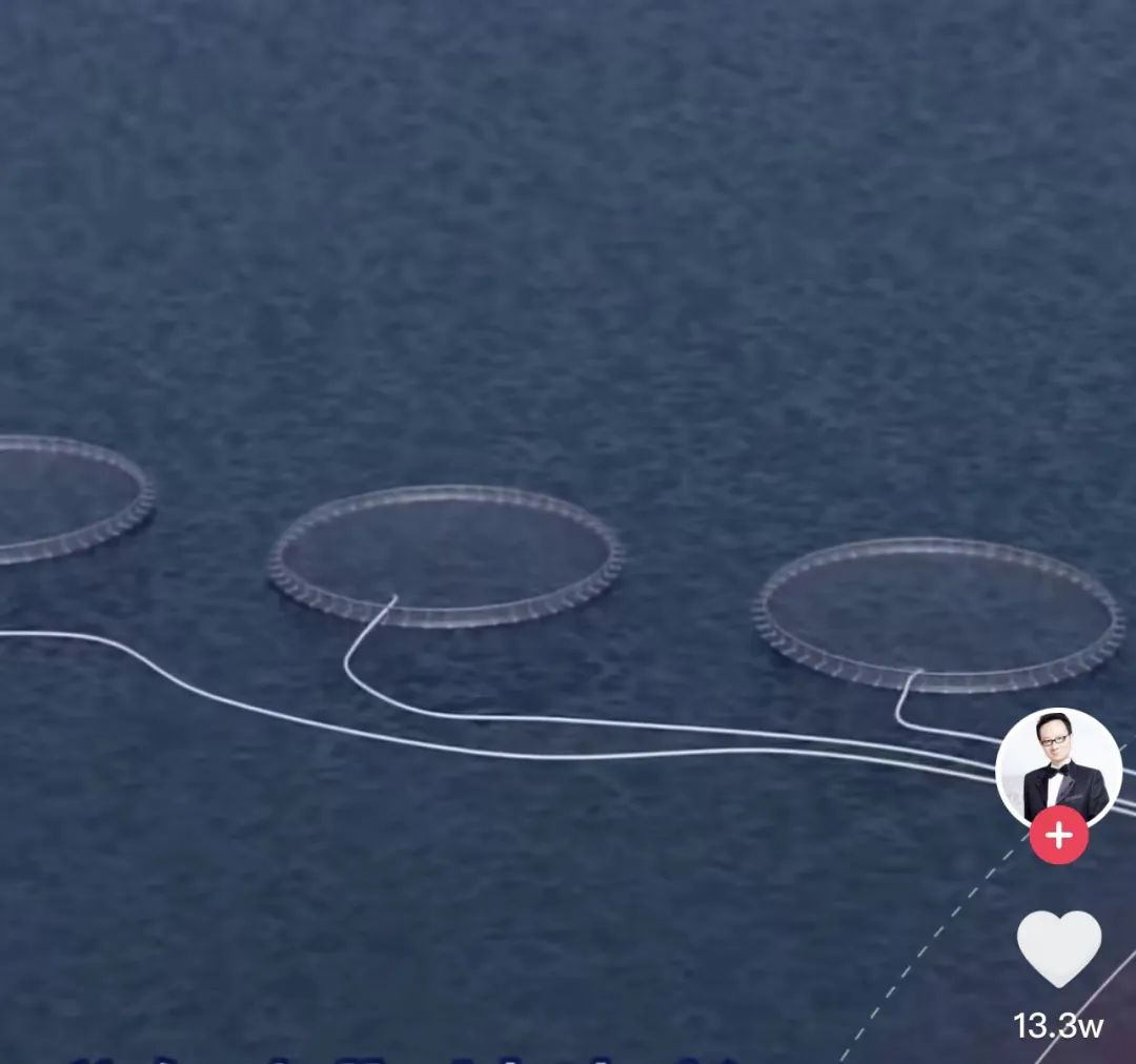 鱼群被套路了，以为自己是野生的|科技袁人