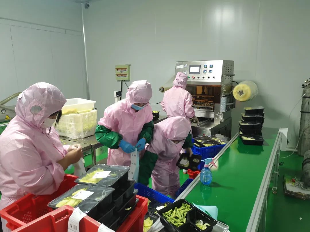 把“一产”做成“六产”——昌乐“新农人”大学生王建芹创业记