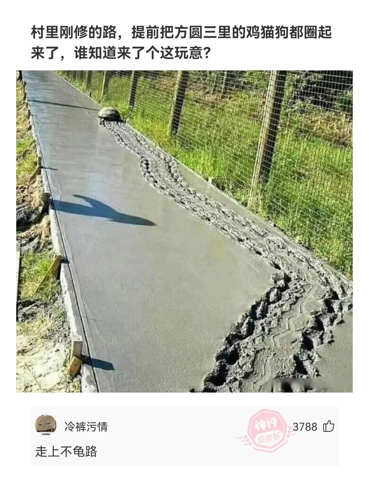 4个人的群什么名字好听最霸气,什么群名好听又霸气适合女性