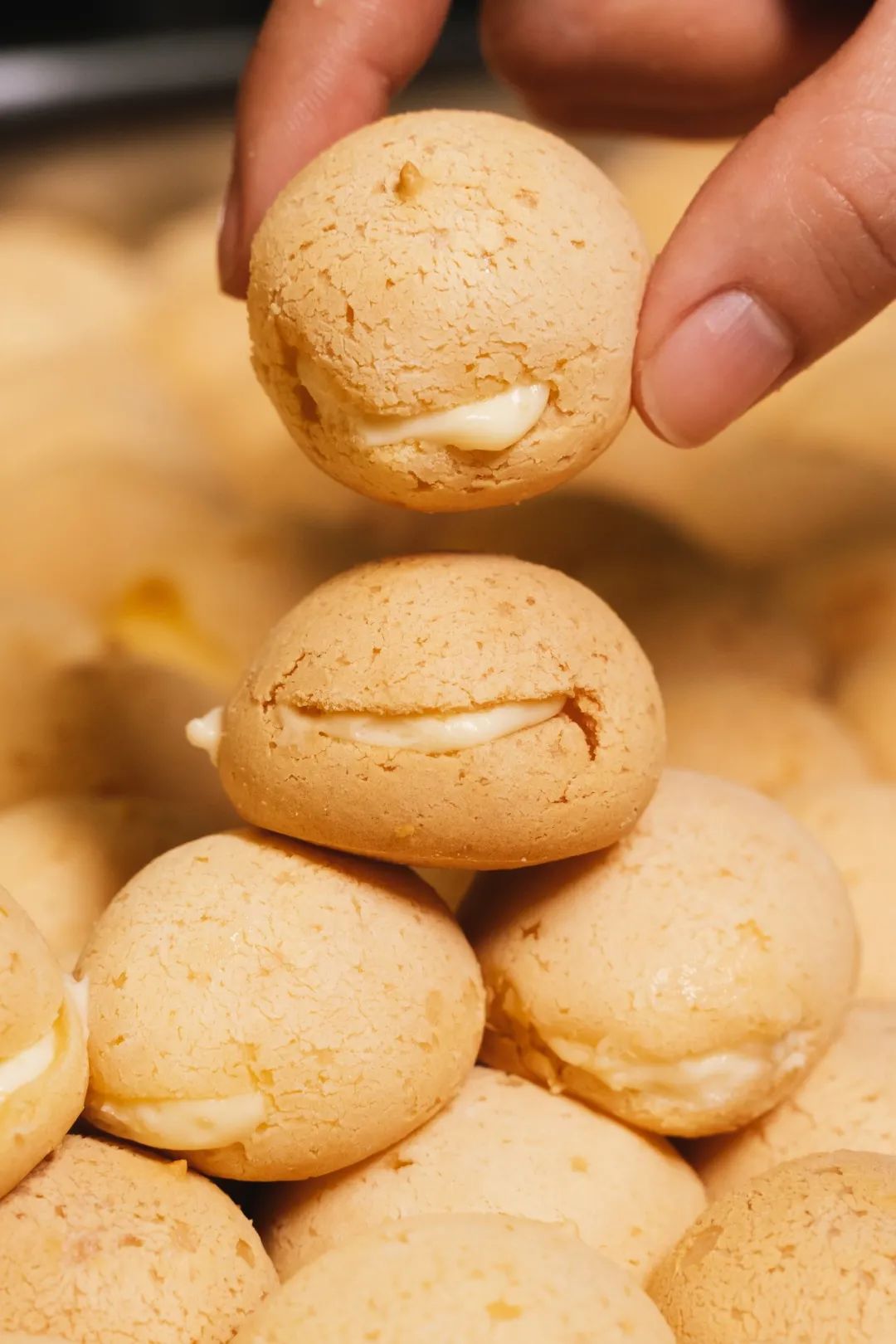 佛山泸溪河,火遍江浙沪泸溪河