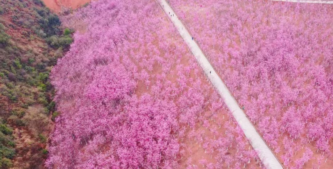 有一种生活叫云南的怒江,有一种生活叫云南生活发布会图片