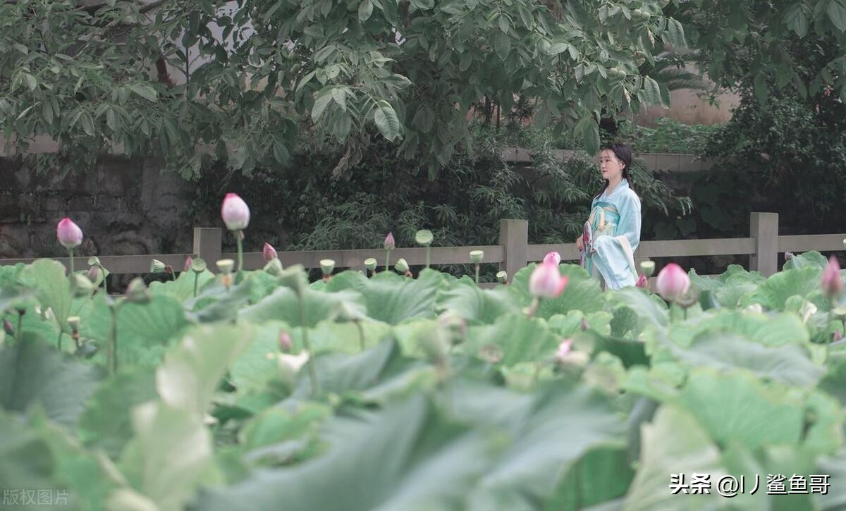 保定市哪里有吃喝玩乐的旅游景点,保定市到西双版纳都有哪些景点