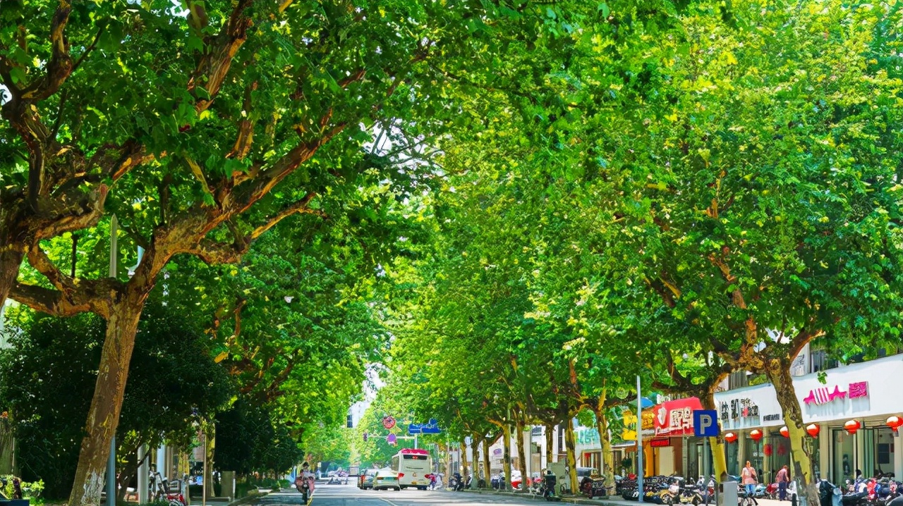 2021年，常州，牛牛牛！什么都挡不住常州奔跑的脚步…