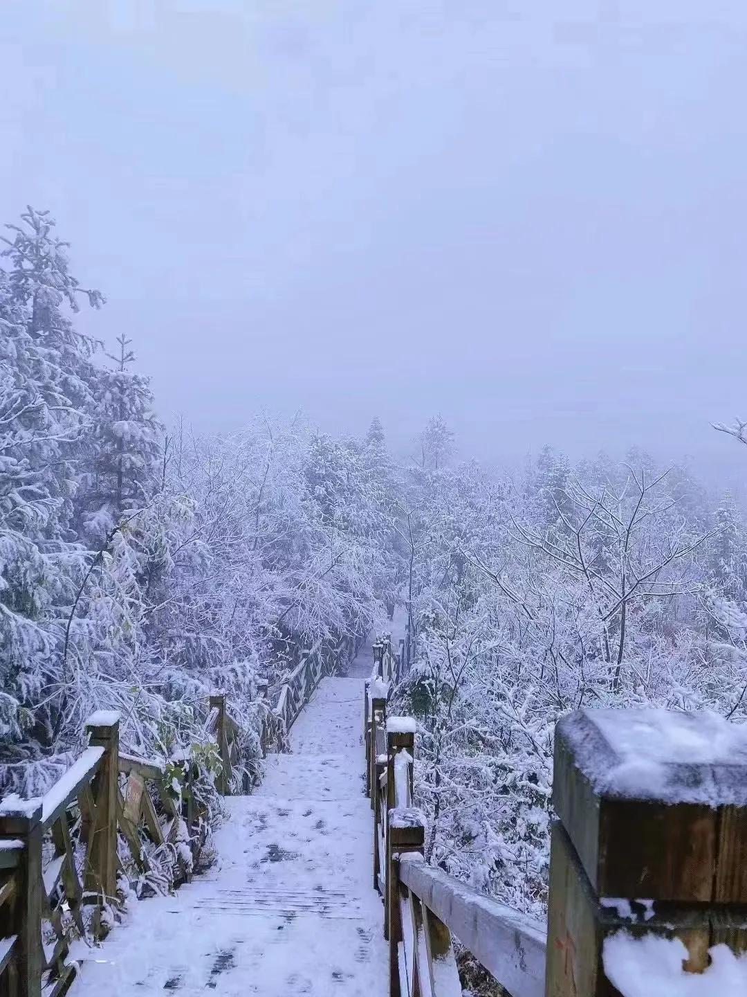 新手炒期货的方法,炒期货零基础入门