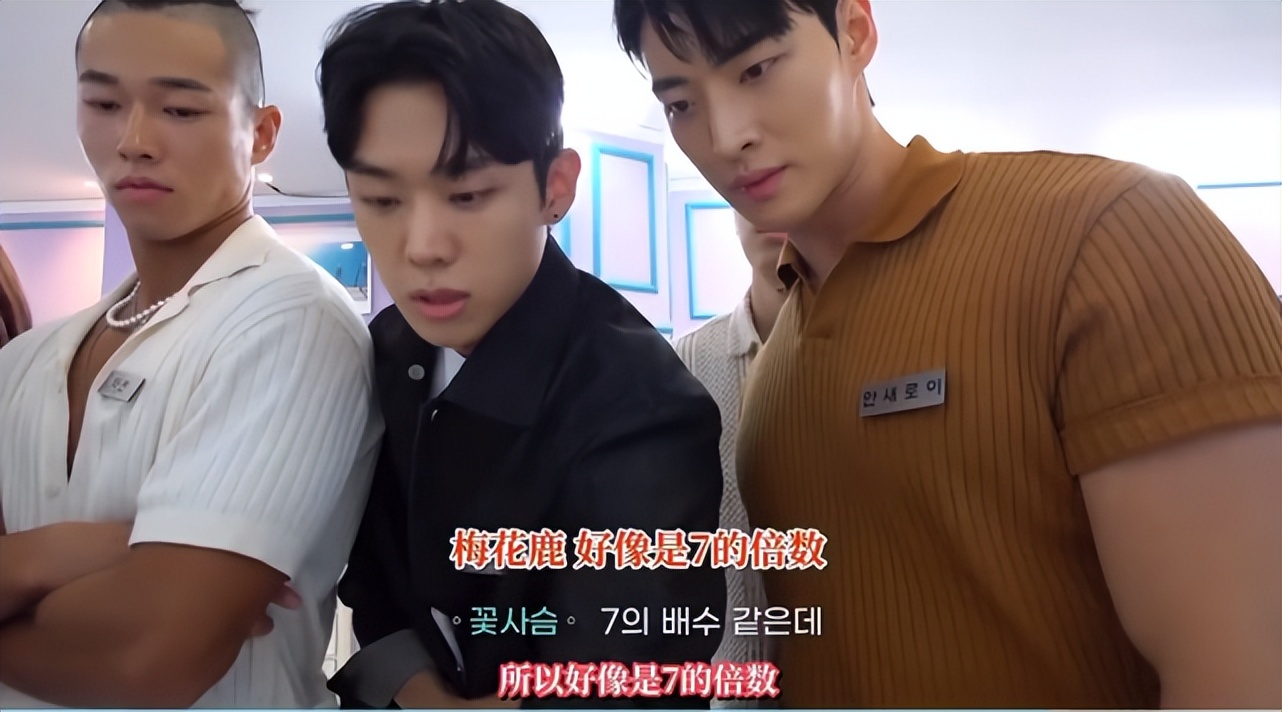 韩国恋综解说,韩国恋综节目