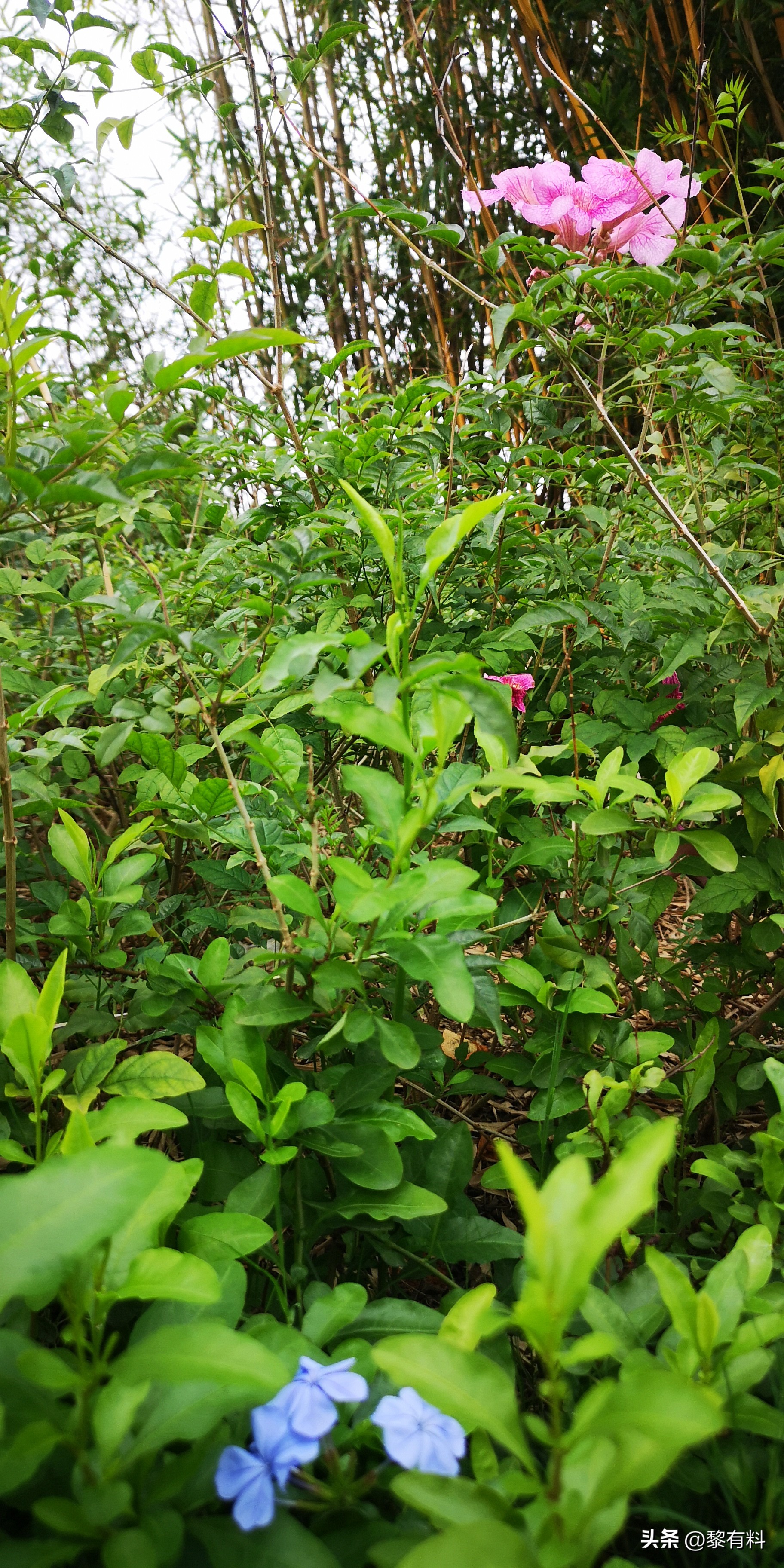 2个案例3点启示,它当然比金钱更可贵!