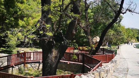 西山国家森林公园海拔,西山国家森林公园昆明