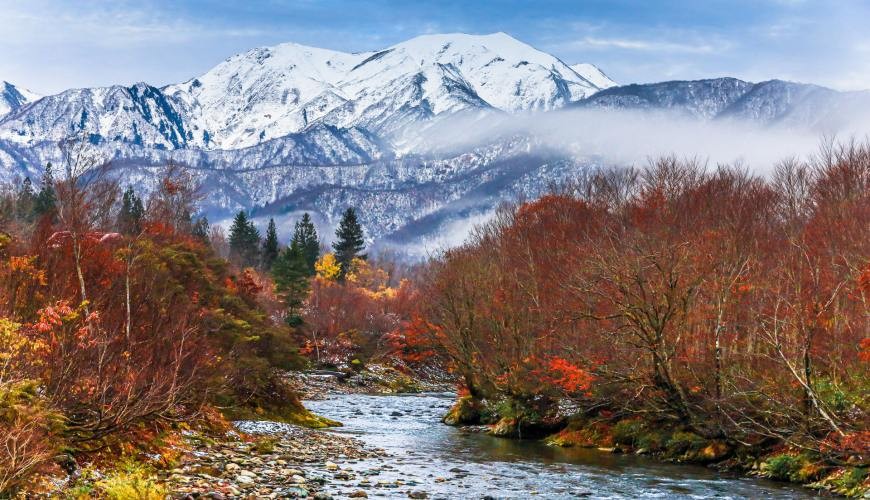 日本网红旅行,日本旅游攻略十大必去的网红景点
