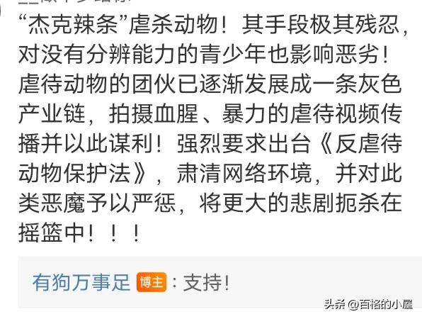 恶趣味！以爱猫为幌子售卖虐猫视频，10元30G，群内讨论虐猫手法