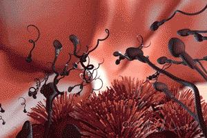 你可以去捐精啊！捐一次得6000，不骗你，有图有真相！