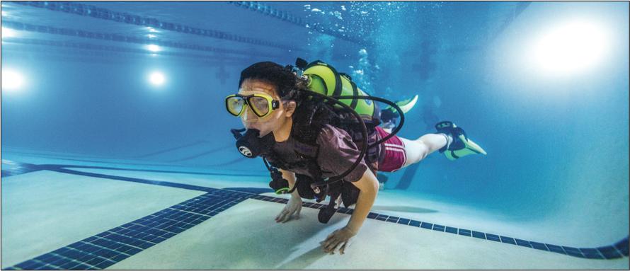 潜水知识科普类视频,潜水井的水可以养鱼嘛