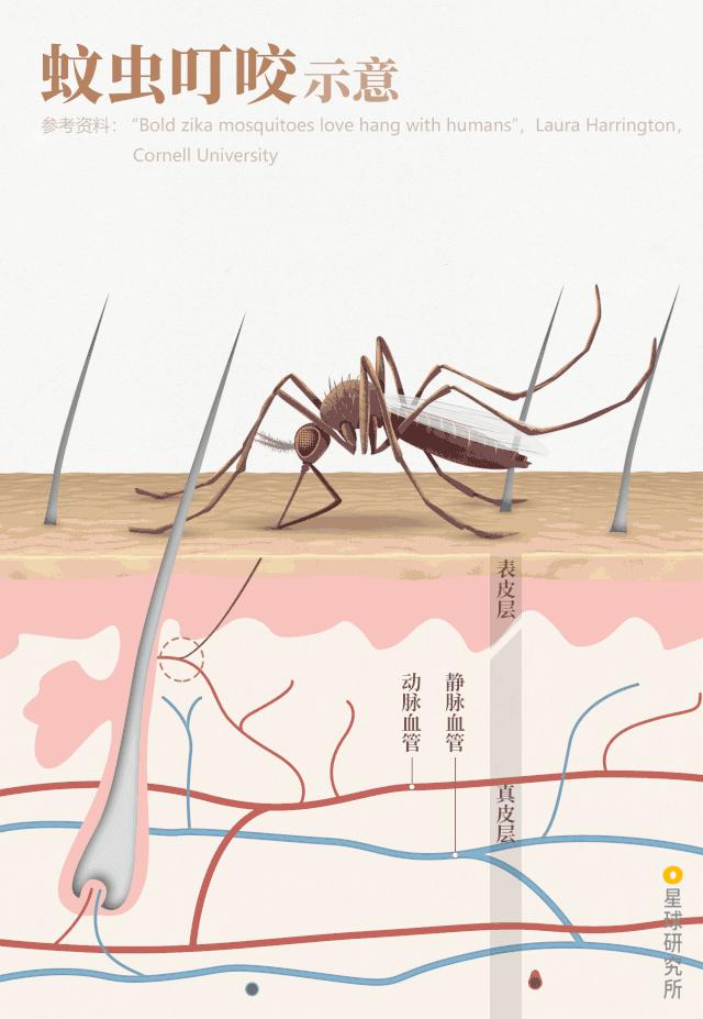 致与病毒搏斗的你！