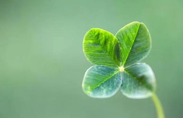 得了ED的人该如何调整好自己的心态，恢复到积极健康的生活状态？