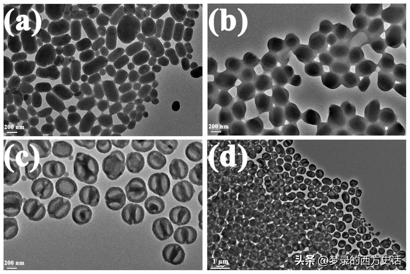 纤维素纳米晶体长宽比对所有CNC薄膜性能的影响被膜和木材CNC