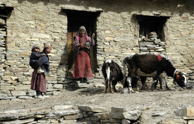 尼泊尔真实婚姻制度,尼泊尔娶三姐妹当老婆的人