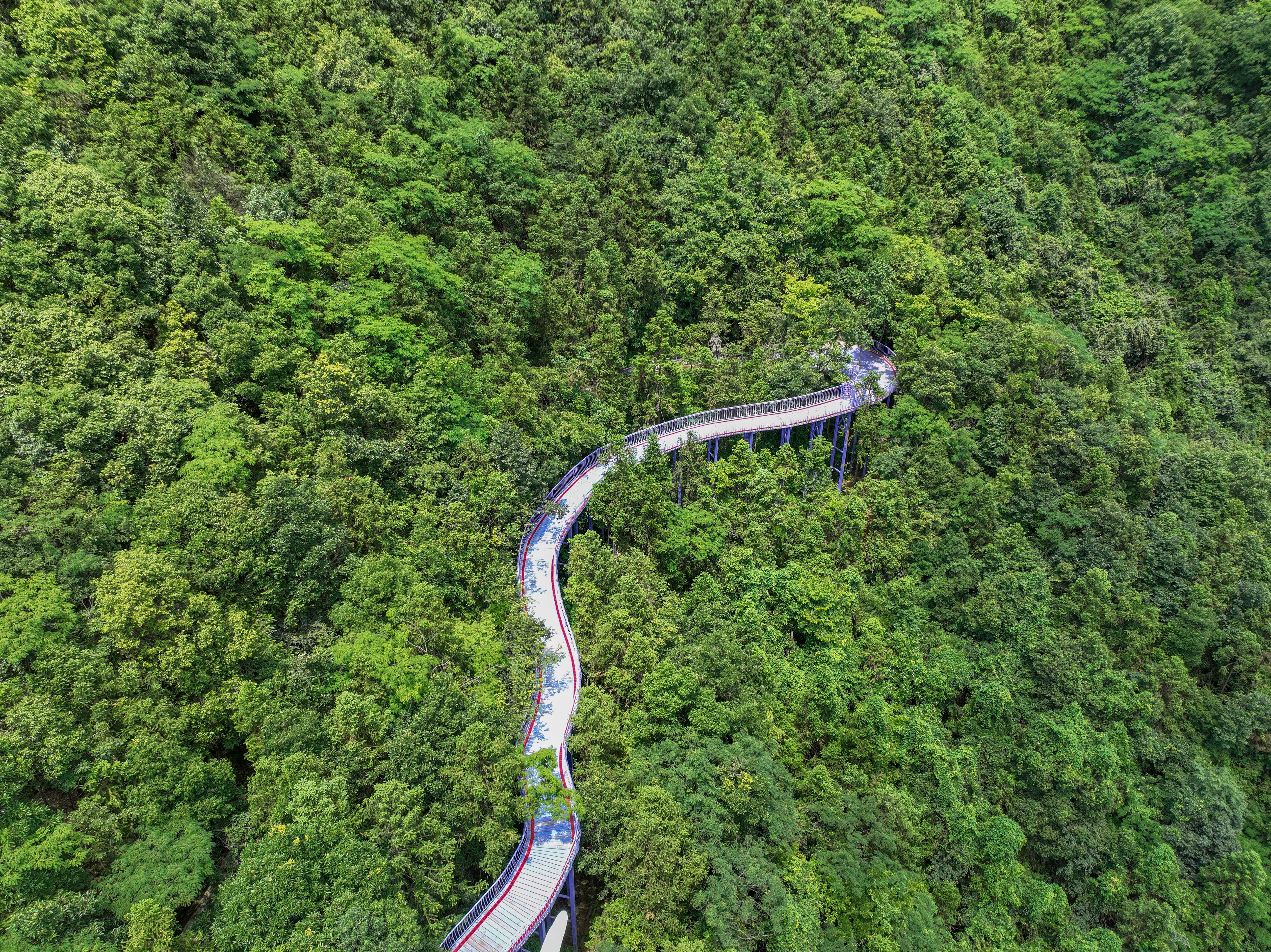 夏天出游拒绝躺平，来杭州这个地方过舒爽凉夏，冲鸭！