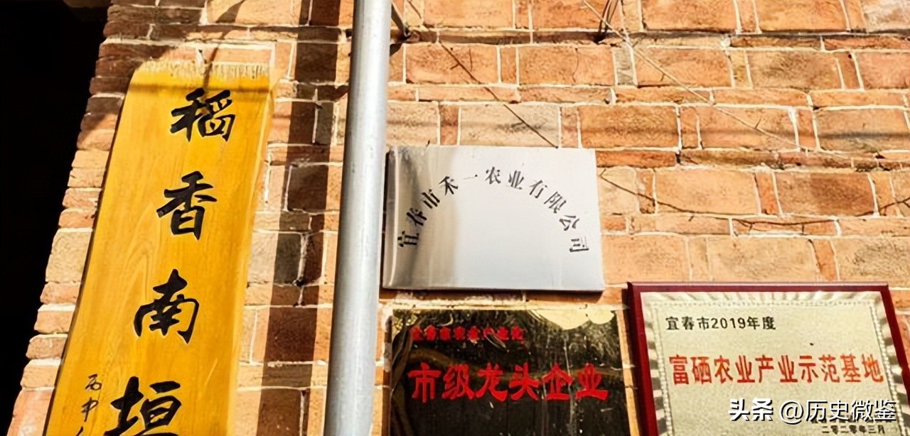 放弃百万年薪回农村种地,放弃30万年薪回农村