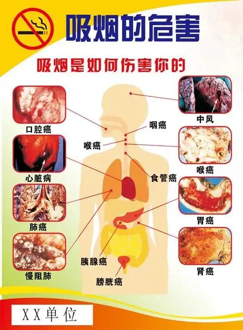 吸烟有害健康可是为什么叫香烟呢,哪年中国香烟标明抽烟有害健康的