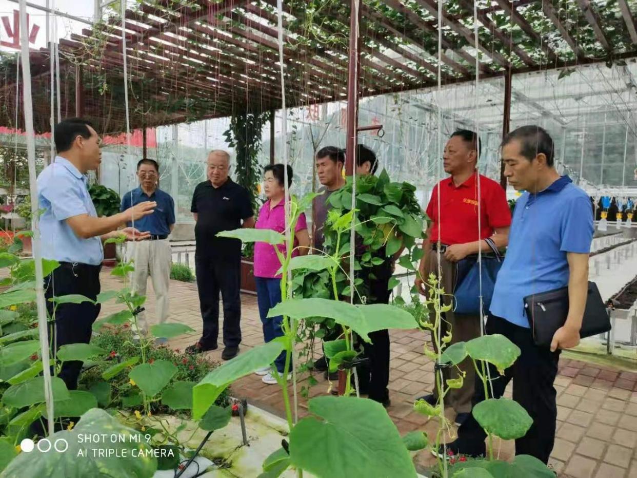 老科协助力乡村振兴绽放银发风采,贵州省科协助力乡村振兴联合体