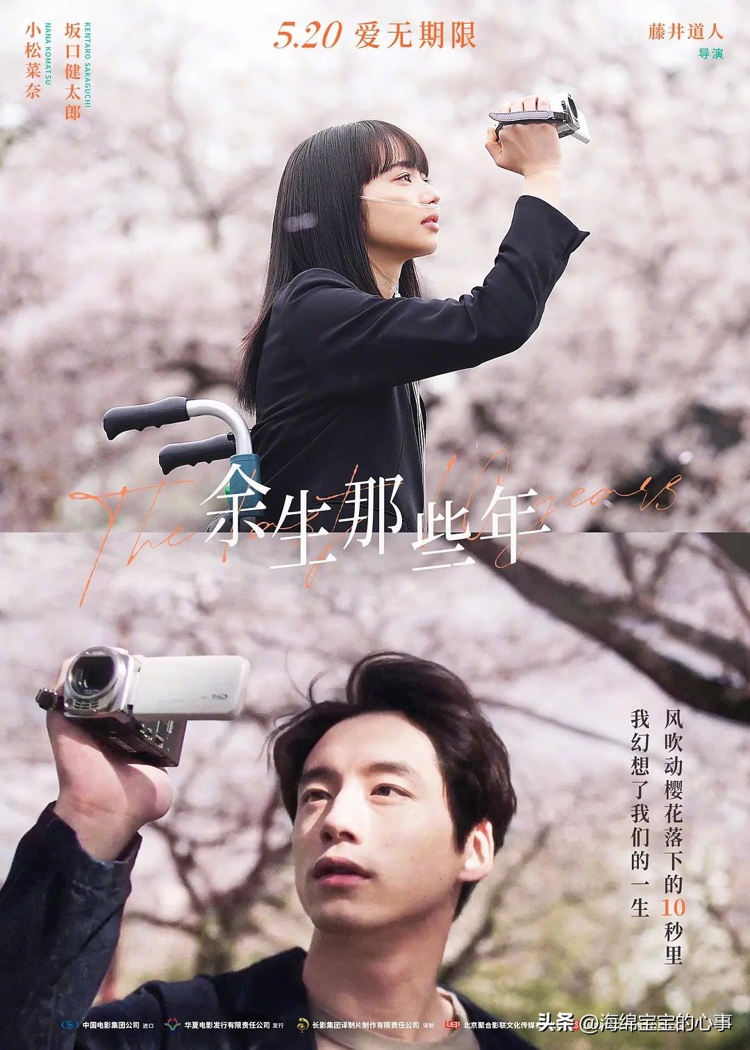 五一档看哪几部新电影,今年五一期间官宣定档的七部电影