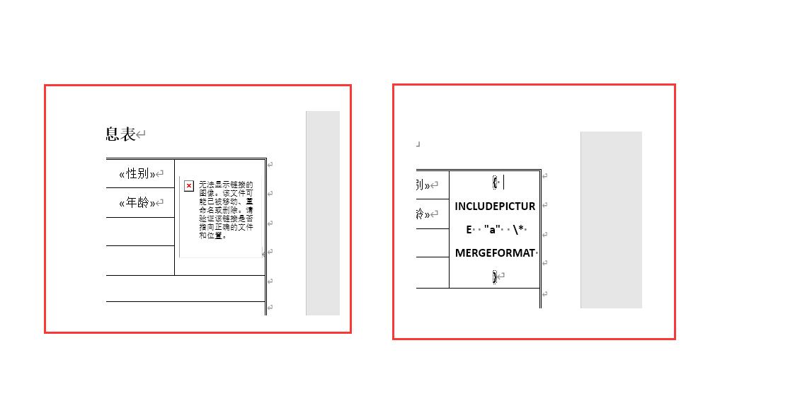 如何制作带相片的员工基础信息表,word表格制作员工简历表怎样操作