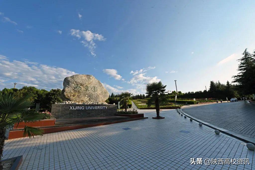 我承认我酸了,我承认我酸了合集