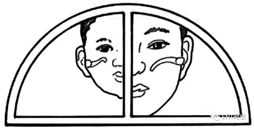 耳部解剖结构和生理功能,耳部解剖笔记