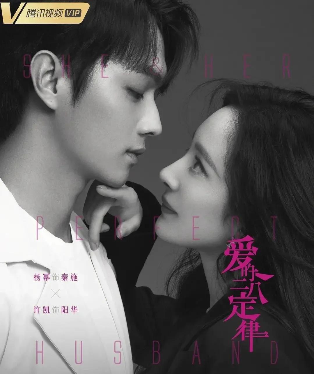 二八定律电视剧女配,电视剧推荐二八定律