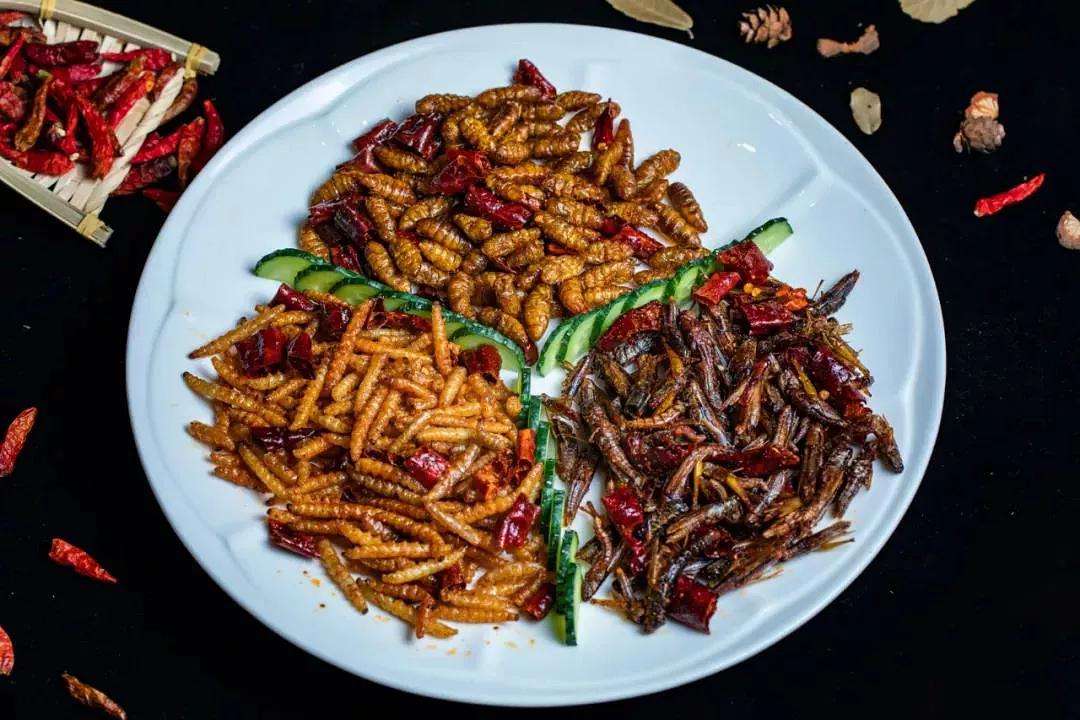 刷新对福建菜的认知，这两款“海虫菜”，有哪个敢尝试一下？