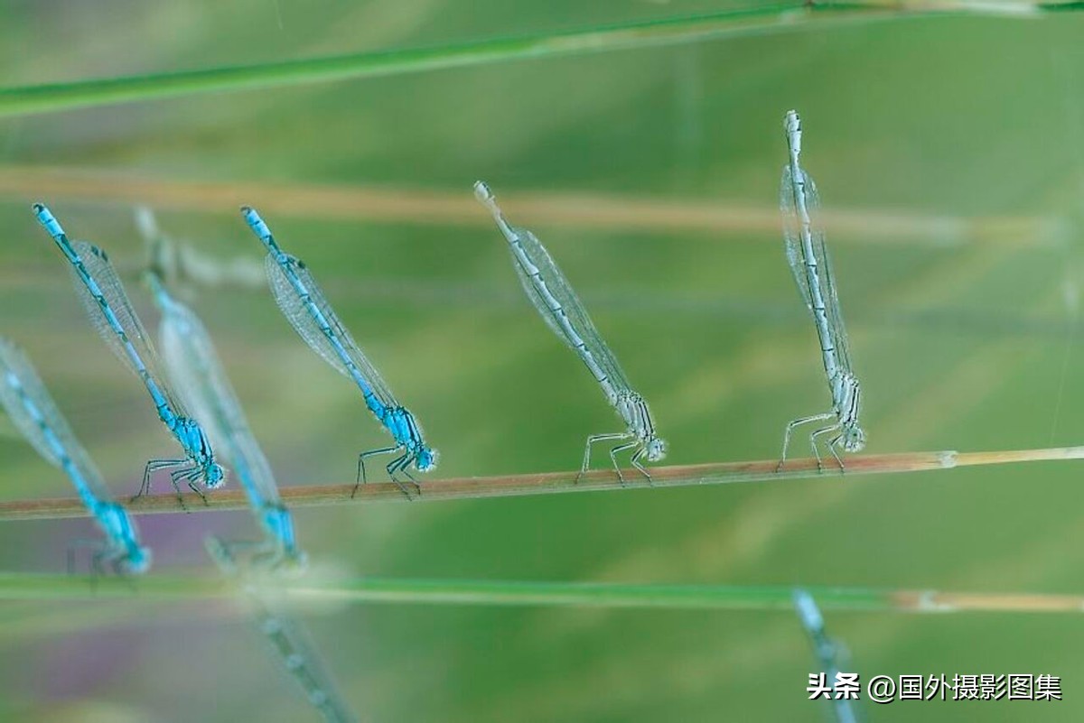 世界顶级唯美人像摄影师,世界顶级自然摄影师作品