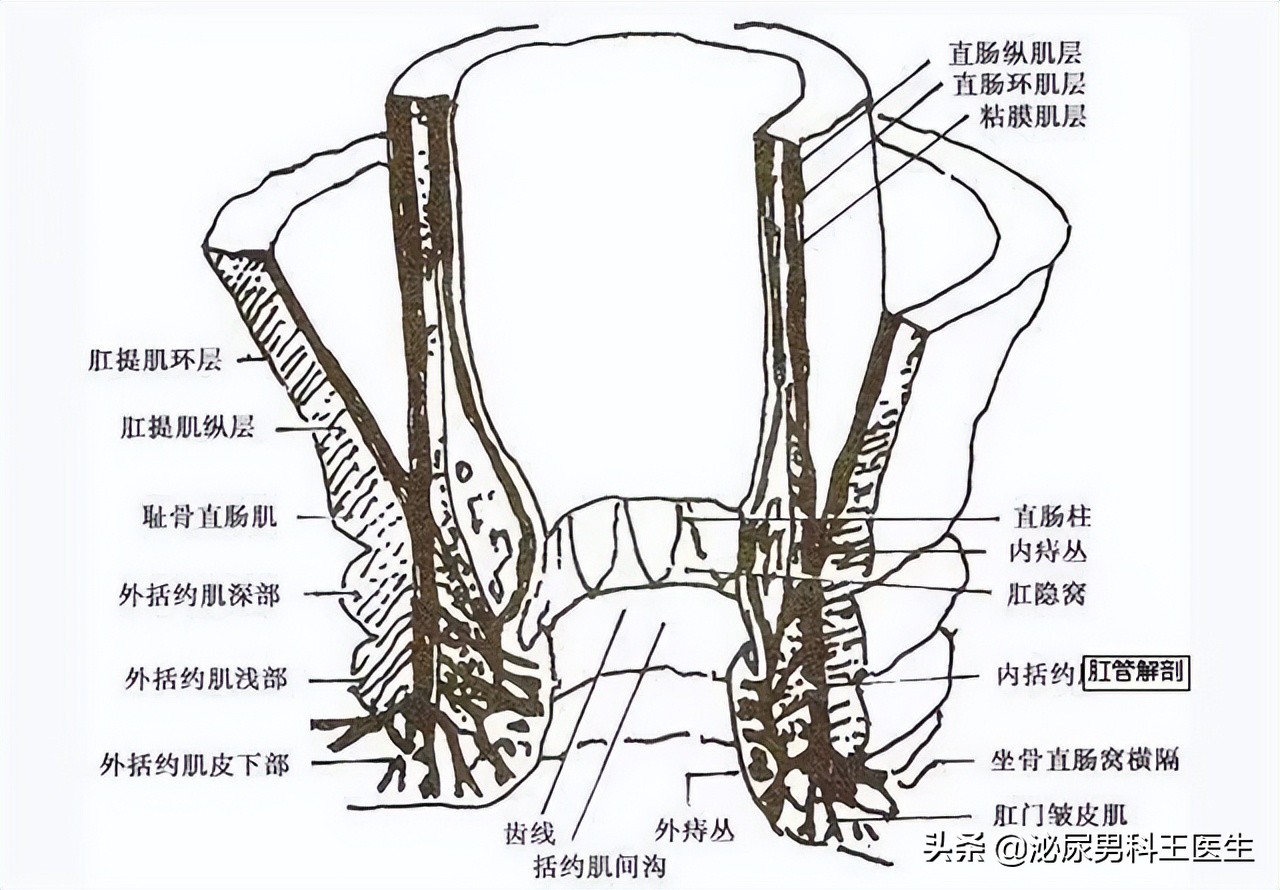 “难以启齿”的肛管癌，你了解它吗？出现3个症状，及时就医检查