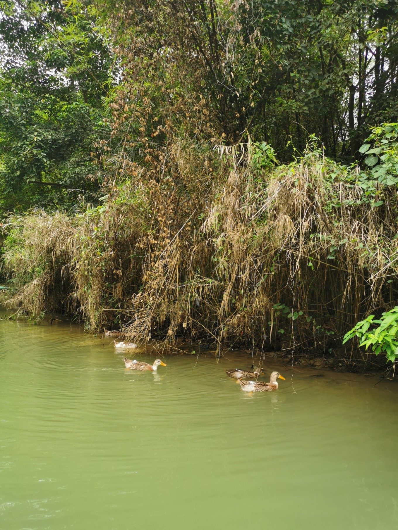 北海是一座令人向往的城市吗,北海是浪漫的城市