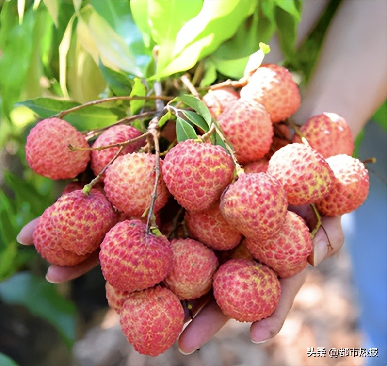 京东618战报品牌清洁类,京东超市发布618战报