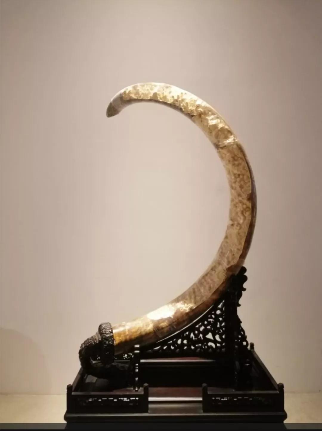 怎样辨别象牙真伪,怎样检测象牙的真伪