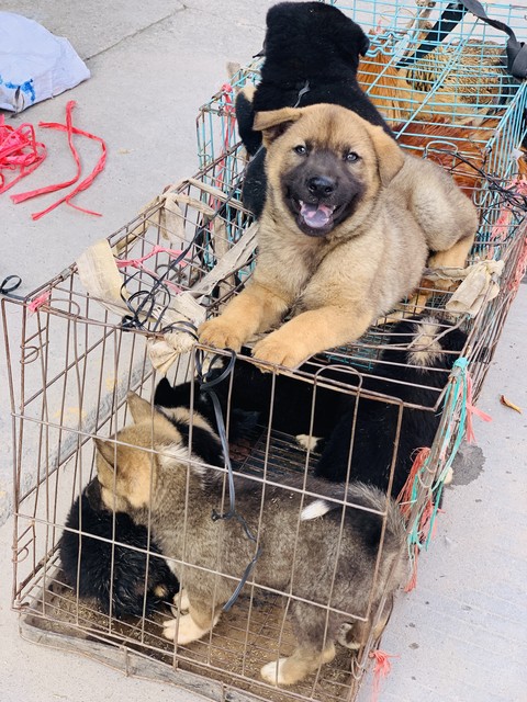 想创业养殖怎么贷款,想创业做什么养殖项目