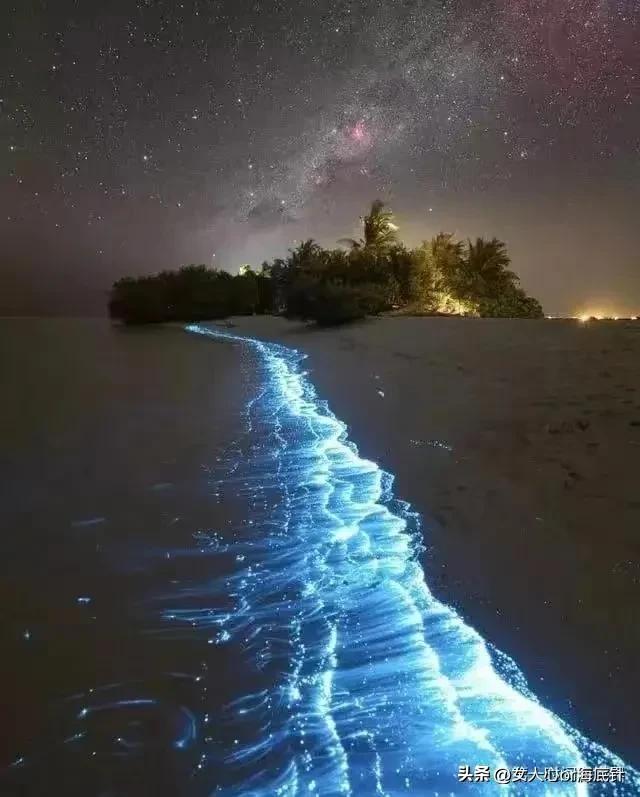 警花王菲哪年的,警花王菲怎样了