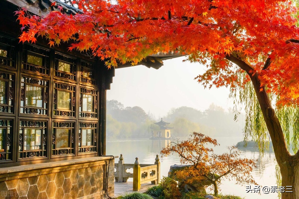 女作家去当保姆78,女作家去做保姆486