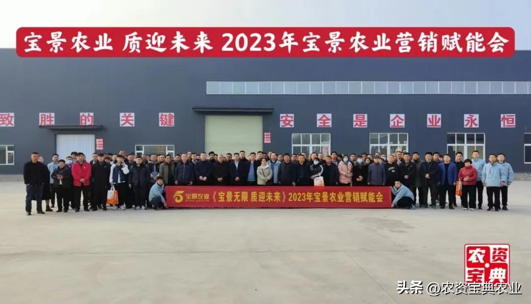 宝景玉米新品种,宝景666与宝景186比哪个更高产