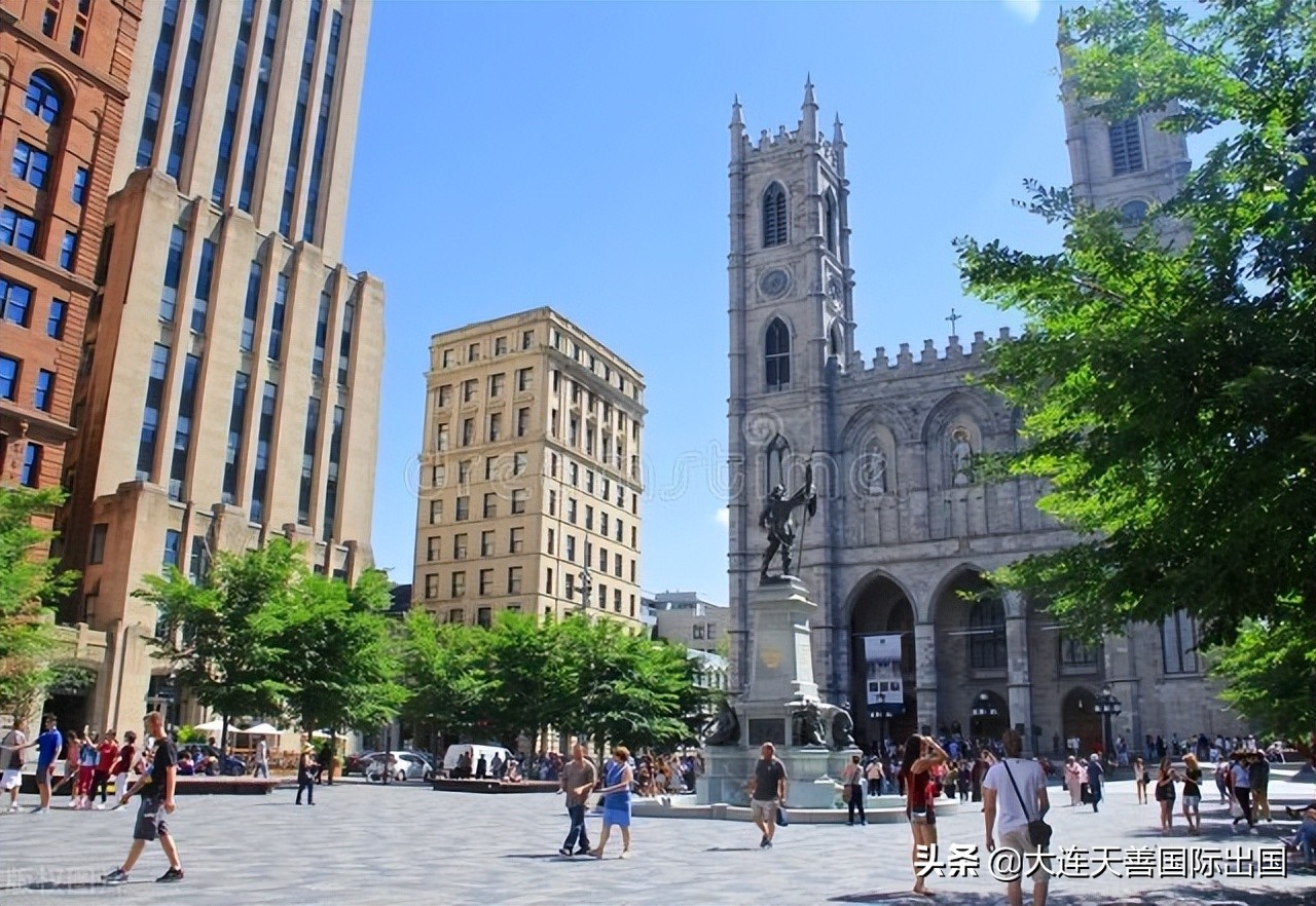 天善国际是正规公司吗,天善国际出国劳务中心