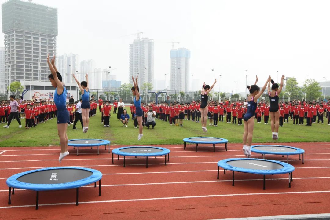 省运会游泳体能测试,省运会游泳直播在线观看