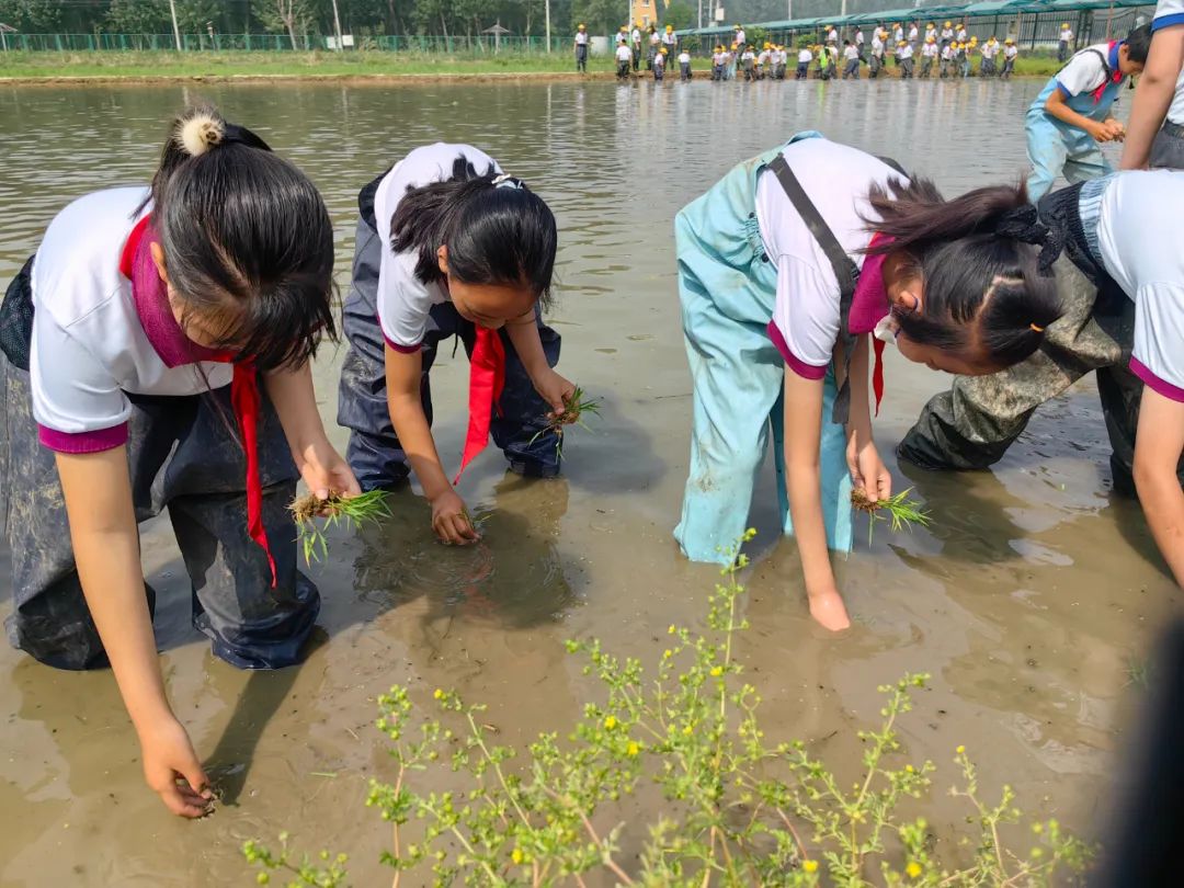 石景山区爱乐实验小学,石景山爱乐实验小学怎么样