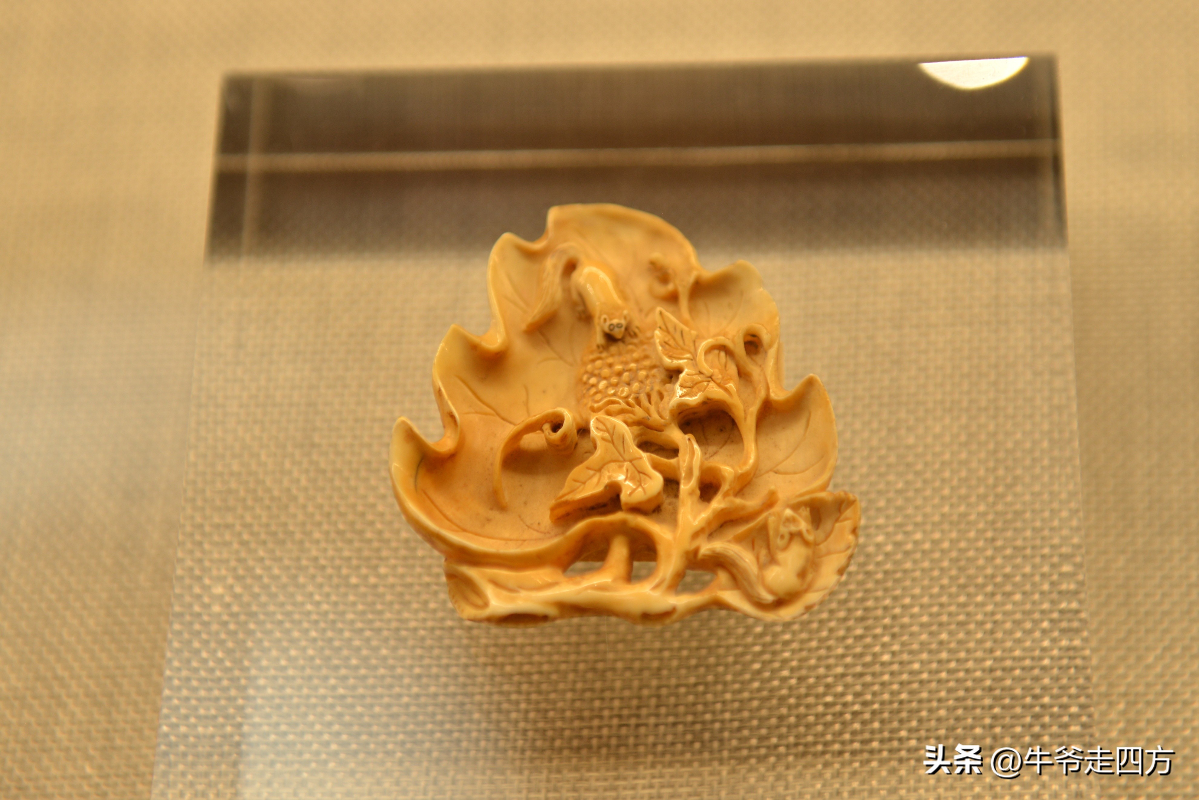 鍖椾含閲戠煶鍗氱墿棣嗗簡浜戝闂ㄧエ,閲戠煶鍗氱墿棣嗗簡浜戝