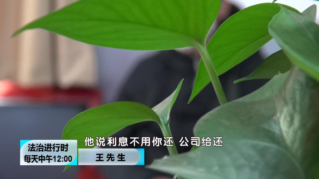 泰康诈骗案,泰康被曝涉保险诈骗