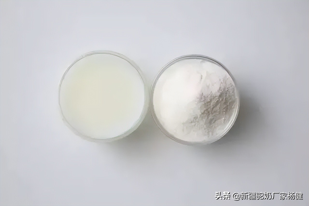 喝驼奶能降血压吗,一天喝驼奶多少量比较好