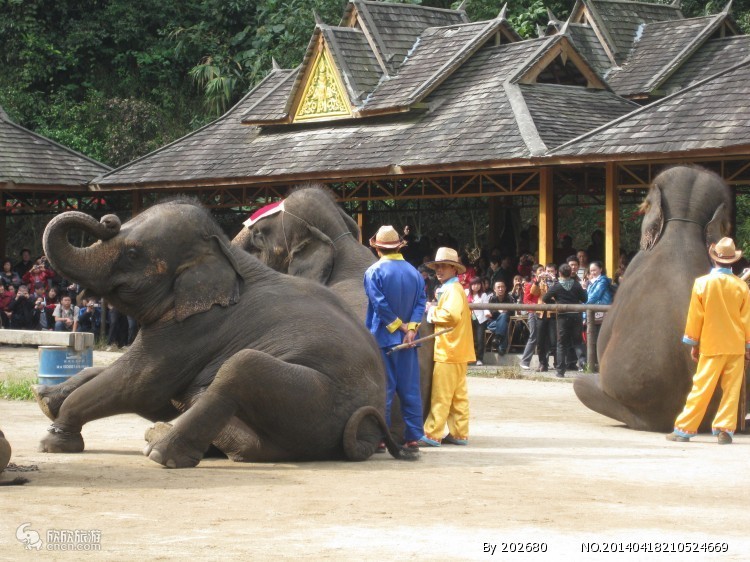 云南春节8天旅游攻略自由行,春节去云南旅游攻略自由行