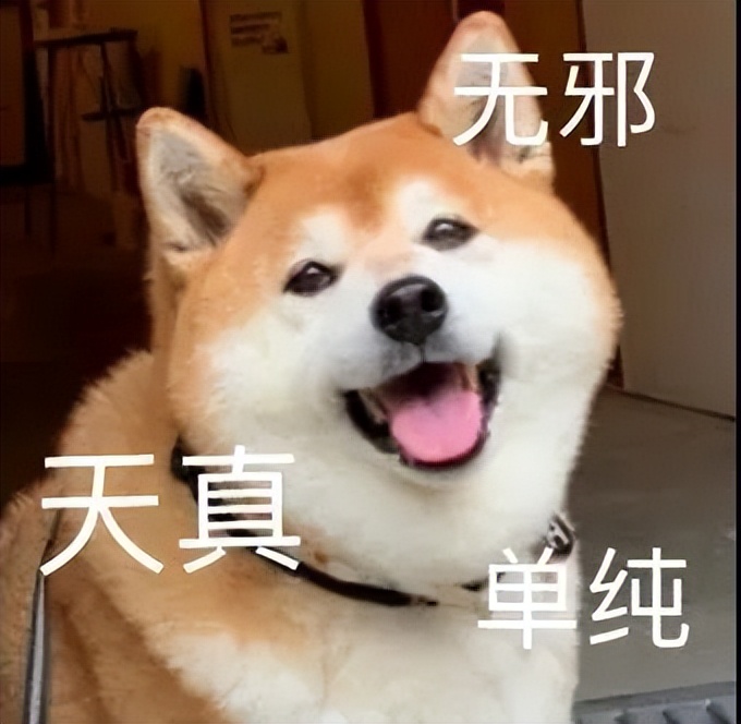 同样是处理器，为啥机器人不能直接用电脑和手机的CPU？